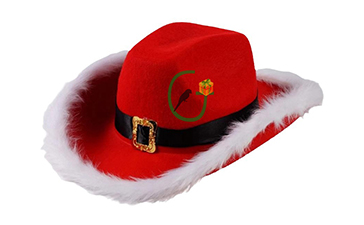 Stanta Claus Hat